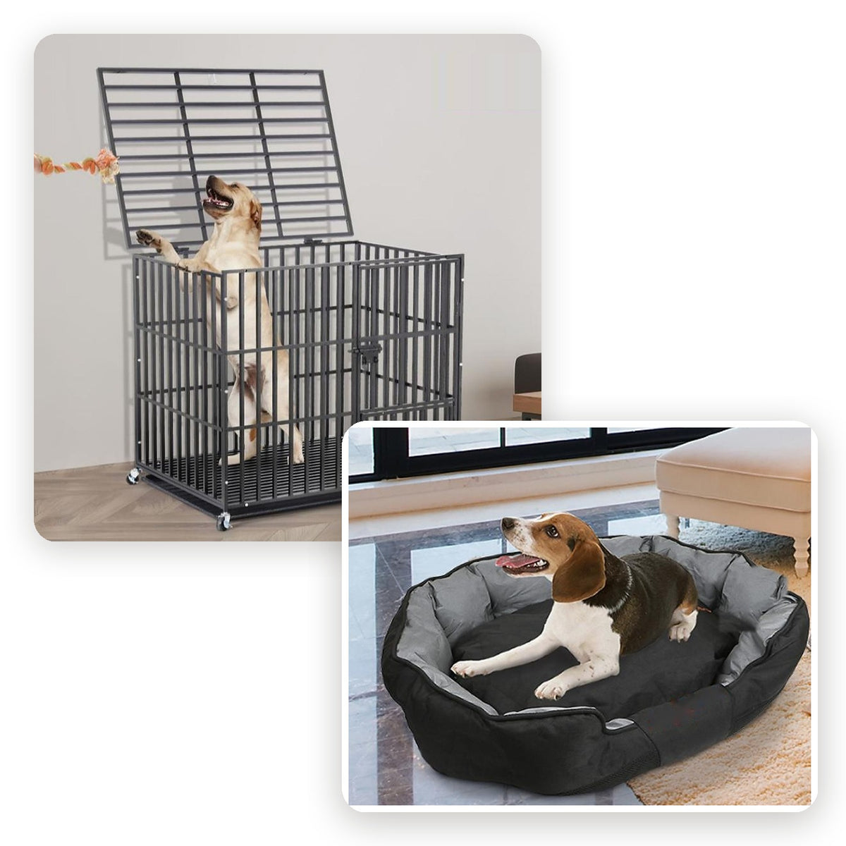 Petfern heavy-duty dog crate and matching bed bundle