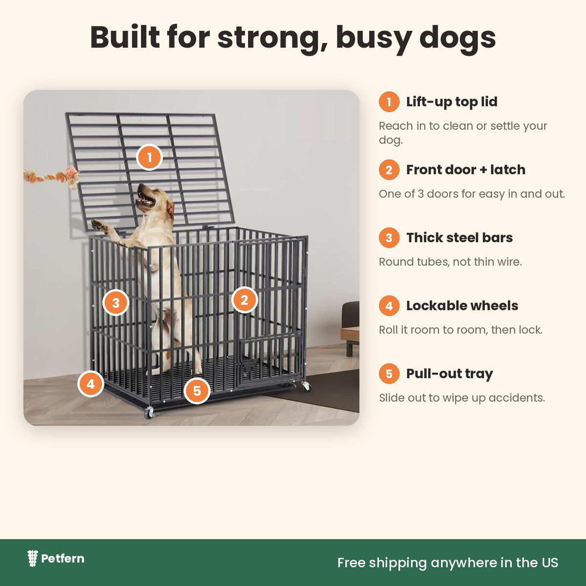 Heavy-duty dog crate features