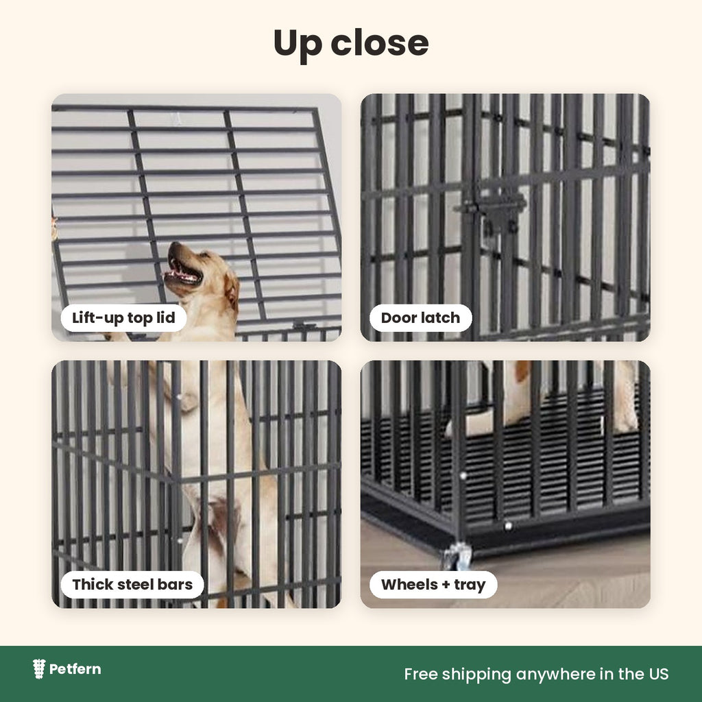 Dog crate close-up details